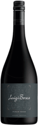17,95 € Free Shipping | Red wine Luigi Bosca Aged I.G. Mendoza Mendoza Argentina Pinot Black Bottle 75 cl