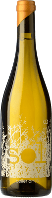 12,95 € Envio grátis | Vinho Branco Arrufí 77 Dies D.O. Terra Alta Catalunha Espanha Garnacha — Grenache 75 cl