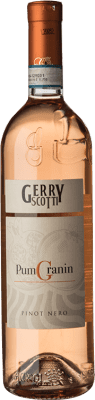 18,95 € Бесплатная доставка | Розовое вино Giorgi Rosé Pumgranin Gerry Scotti Молодой D.O.C. Oltrepò Pavese Ломбардии Италия Pinot Black бутылка 75 cl