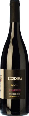19,95 € Бесплатная доставка | Красное вино LoHer Cosechero D.O. Tacoronte-Acentejo Канарские острова Испания Listán Black бутылка 75 cl
