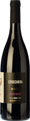 21,95 € Envoi gratuit | Vin Rouge LoHer Cosecha — Récolte D.O. Tacoronte-Acentejo Iles Canaries Espagne Listán 75 cl