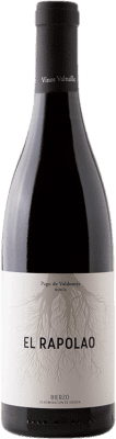 47,95 € Kostenloser Versand | Rotwein Valtuille Pago de Valdoneje El Rapolao D.O. Bierzo Kastilien und León Spanien Mencía Flasche 75 cl