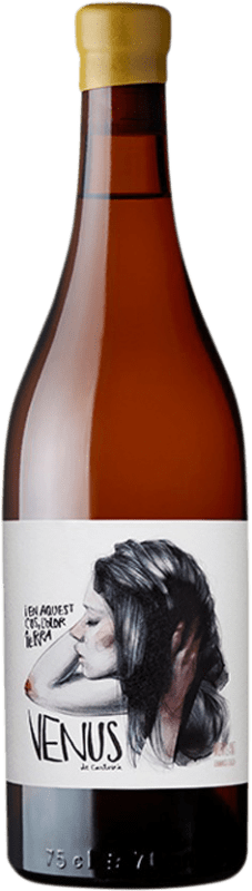 58,95 € Envoi gratuit | Vin Blanc Venus La Universal D.O. Montsant Catalogne Espagne Xarel·lo Bouteille 75 cl