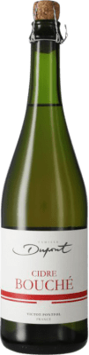 15,95 € Envio grátis | Sidra Domaine Dupont Bouché França 75 cl Manzana — Maçã