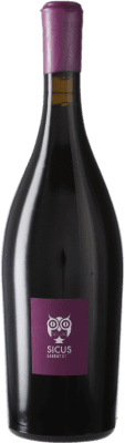 19,95 € 免费送货 | 红酒 Sicus Garrut Sassy D.O. Penedès 加泰罗尼亚 西班牙 Monastrell 瓶子 75 cl
