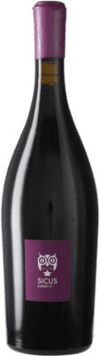 Sicus Garrut Sassy Monastrell Biologique 75 cl