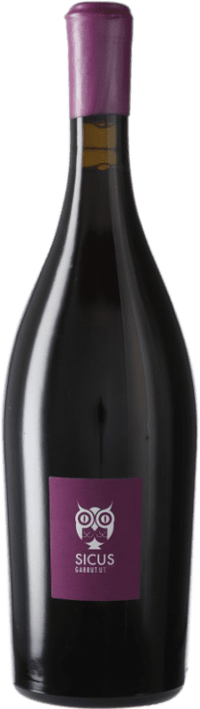 15,95 € Free Shipping | Red wine Sicus Garrut Sassy D.O. Penedès Catalonia Spain Monastrell Bottle 75 cl