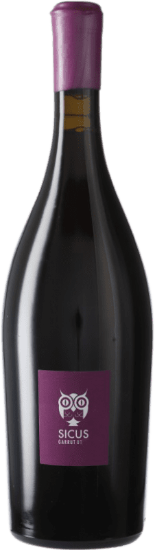 24,95 € Envoi gratuit | Vin rouge Sicus Garrut Sassy D.O. Penedès Catalogne Espagne Monastrell Biologique Bouteille 75 cl