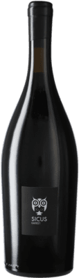 21,95 € Бесплатная доставка | Красное вино Sicus Garrut D.O. Penedès Каталония Испания Monastrell бутылка 75 cl