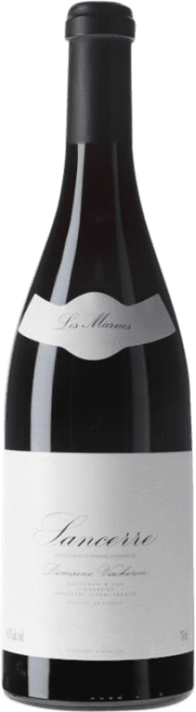 119,95 € Envío gratis | Vino tinto Vacheron Les Marnes A.O.C. Sancerre Loire Francia Pinot Negro Botella 75 cl