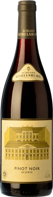64,95 € 免费送货 | 红酒 Schloss Gobelsburg 预订 I.G. Kamptal 坎普谷 奥地利 Pinot Black 瓶子 75 cl