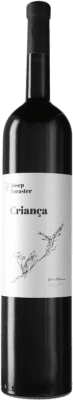 Josep Foraster Crianza — 陈酿 1,5 L