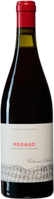 25,95 € Free Shipping | Red wine Telmo Rodríguez Pegaso Barrancos de Pizarra I.G.P. Vino de la Tierra de Castilla y León Castilla y León Spain Grenache Bottle 75 cl