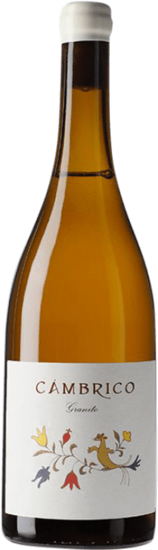 24,95 € Envío gratis | Vino Tinto Cámbrico Rufete Granito I.G.P. Vino de la Tierra de Castilla y León Castilla y León España Tempranillo 75 cl