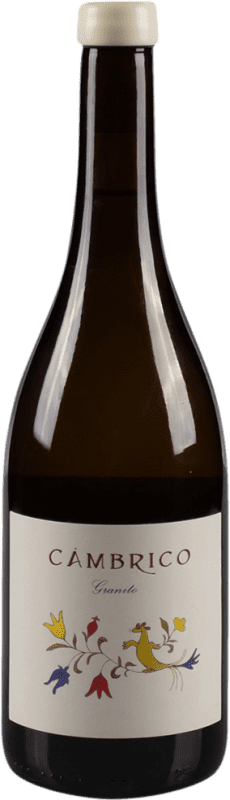 36,95 € Envio grátis | Vinho Tinto Cámbrico Rufete Granito I.G.P. Vino de la Tierra de Castilla y León Castela e Leão Espanha Tempranillo 75 cl