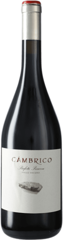 49,95 € 免费送货 | 红酒 Cámbrico Rufete Pizarra I.G.P. Vino de la Tierra de Castilla y León 卡斯蒂利亚莱昂 西班牙 Tempranillo 瓶子 75 cl
