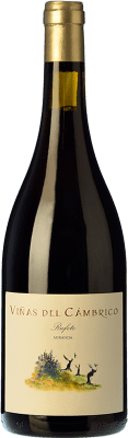 21,95 € Kostenloser Versand | Rotwein Cámbrico Viñas Miranda I.G.P. Vino de la Tierra de Castilla y León Kastilien und León Spanien Tempranillo, Garnacha — Grenache, Rufete 75 cl