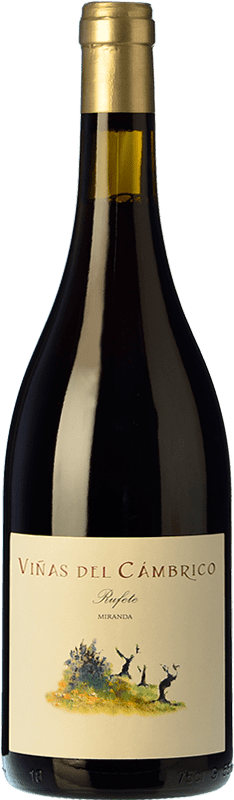 19,95 € 免费送货 | 红酒 Cámbrico Viñas Miranda I.G.P. Vino de la Tierra de Castilla y León 卡斯蒂利亚莱昂 西班牙 Tempranillo, Grenache, Rufete 瓶子 75 cl