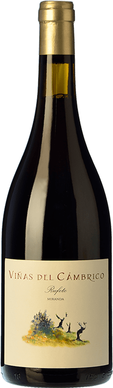 21,95 € Envoi gratuit | Vin Rouge Cámbrico Viñas Miranda I.G.P. Vino de la Tierra de Castilla y León Castille et Leon Espagne Tempranillo, Garnacha — Grenache, Rufete Bouteille 75 cl