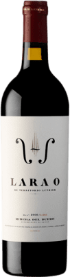 24,95 € Бесплатная доставка | Красное вино Territorio Luthier Lara O D.O. Ribera del Duero Кастилия-Леон Испания Tempranillo, Grenache бутылка 75 cl