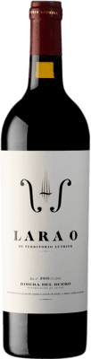 19,95 € Envío gratis | Vino Tinto Territorio Luthier Lara O D.O. Ribera del Duero Castilla y León España Tempranillo, Garnacha 75 cl