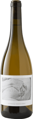 21,95 € Envío gratis | Vino blanco Península Skin Contact Orgánico Castilla la Mancha España Albariño Botella 75 cl