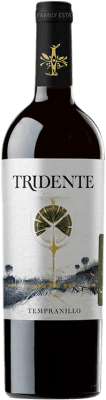 19,95 € Free Shipping | Red wine Tritón Tridente I.G.P. Vino de la Tierra de Castilla y León Castilla y León Spain Tempranillo Bottle 75 cl