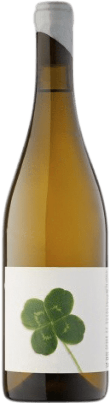 17,95 € Free Shipping | White Wine Vinyes Singulars Can Martí Young Catalonia Spain Sumoll 75 cl