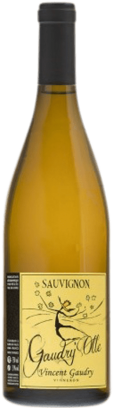 29,95 € 免费送货 | 白葡萄酒 Vincent Gaudry Olle I.G.P. Val de Loire 卢瓦尔河 法国 Sauvignon — 苏维浓 75 cl