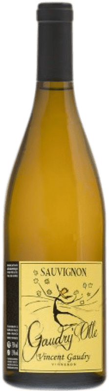 21,95 € Envío gratis | Vino blanco Vincent Gaudry Olle Blanc I.G.P. Val de Loire Loire Francia Sauvignon Botella 75 cl