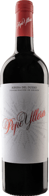 19,95 € Kostenloser Versand | Rotwein Yllera Pepe Eiche D.O. Ribera del Duero Kastilien und León Spanien Magnum-Flasche 1,5 L