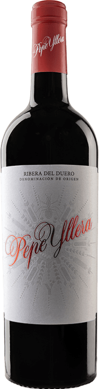 19,95 € Envoi gratuit | Vin rouge Yllera Pepe Chêne D.O. Ribera del Duero Castille et Leon Espagne Bouteille Magnum 1,5 L