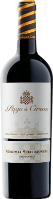 12,95 € Бесплатная доставка | Красное вино Pago de Cirsus Vendimia Seleccionada Pago Bolandin Наварра Испания Tempranillo, Merlot, Syrah бутылка 75 cl