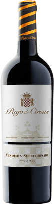 12,95 € 免费送货 | 红酒 Pago de Cirsus Vendimia Seleccionada Pago Bolandin 纳瓦拉 西班牙 Tempranillo, Merlot, Syrah 瓶子 75 cl