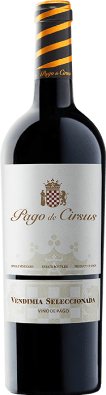10,95 € Free Shipping | Red wine Pago de Cirsus Vendimia Seleccionada Pago Bolandin Navarre Spain Tempranillo, Merlot, Syrah Bottle 75 cl