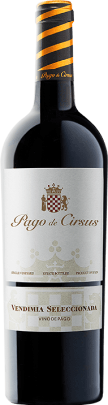 12,95 € Бесплатная доставка | Красное вино Pago de Cirsus Vendimia Seleccionada Pago Bolandin Наварра Испания Tempranillo, Merlot, Syrah бутылка 75 cl
