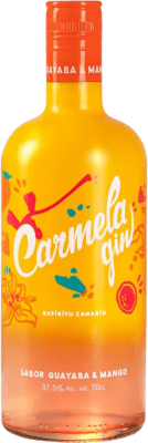 22,95 € Envio grátis | Genever Gin Artemi Carmela Espanha 70 cl Guave — Goiaba, Mango — Manga
