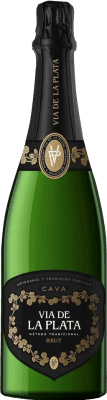 8,95 € Envio grátis | Espumante branco Vía de la Plata Brut D.O. Cava Extremadura Espanha Macabeo, Parellada Garrafa 75 cl